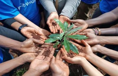 Young people standing in a close circle cup their hands together to support a small plant